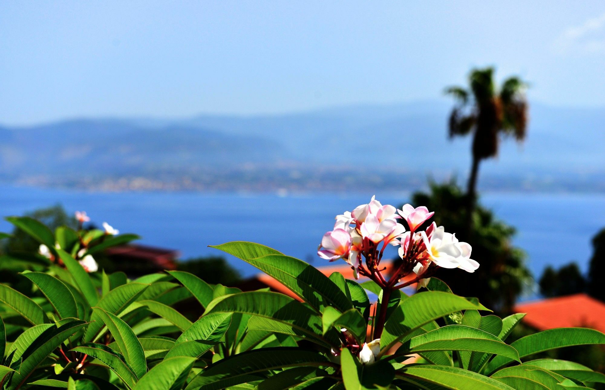 Villa Scilla E Cariddi Messina Exterior foto